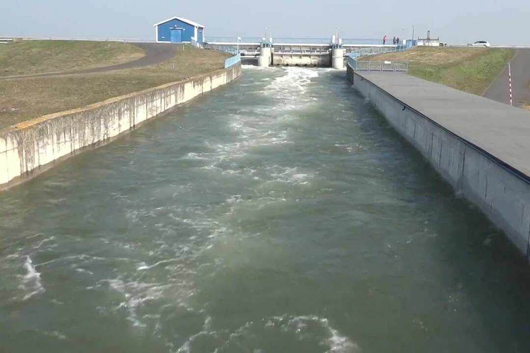 FOTO: Na Dunaji sa robia simulované záplavy. Majú pomôcť flóre a faune, foto 3