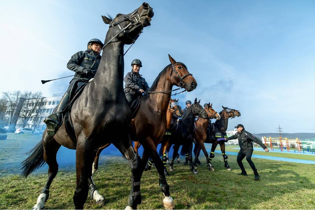 FOTO: Špeciálny deň s koňmi na policajnej akadémii v Bratislave, foto 1