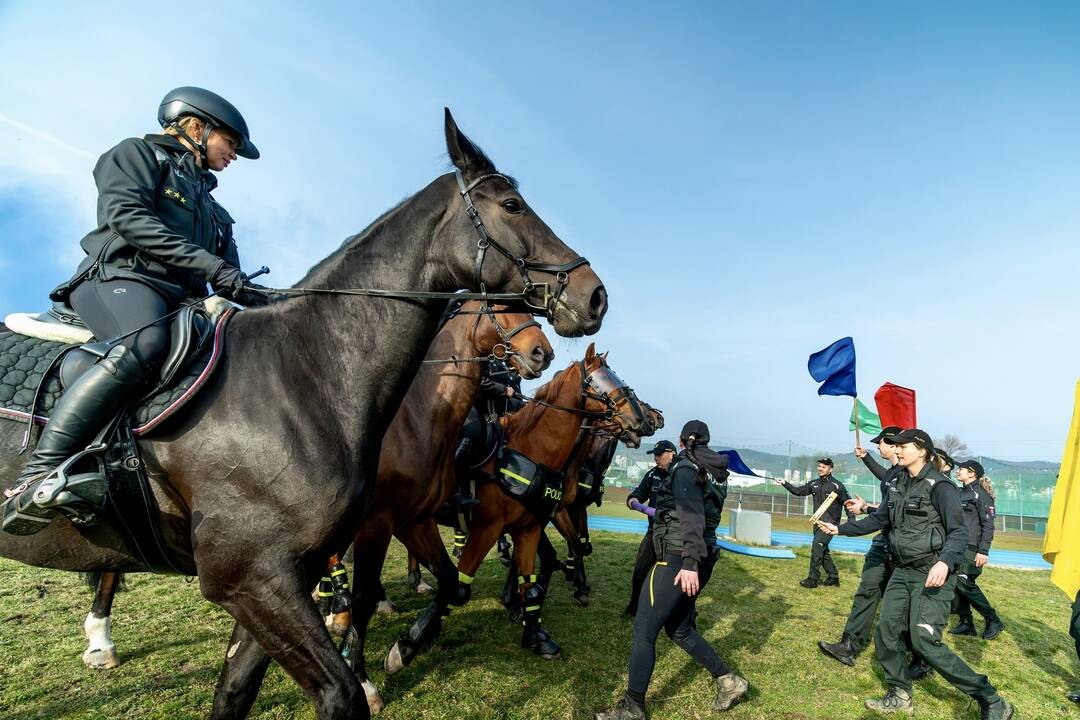 FOTO: Špeciálny deň s koňmi na policajnej akadémii v Bratislave, foto 7