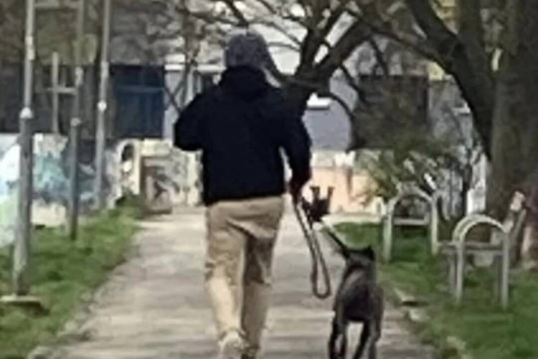 FOTO: Pes v Petržalke napáda okoloidúcich , foto 2