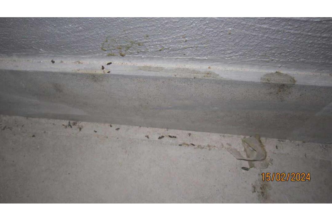 FOTO: Pleseň, exkrementy od hlodavcov aj potraviny po záruke. Toto sú najčastejšie nedostatky prevádzok, foto 10