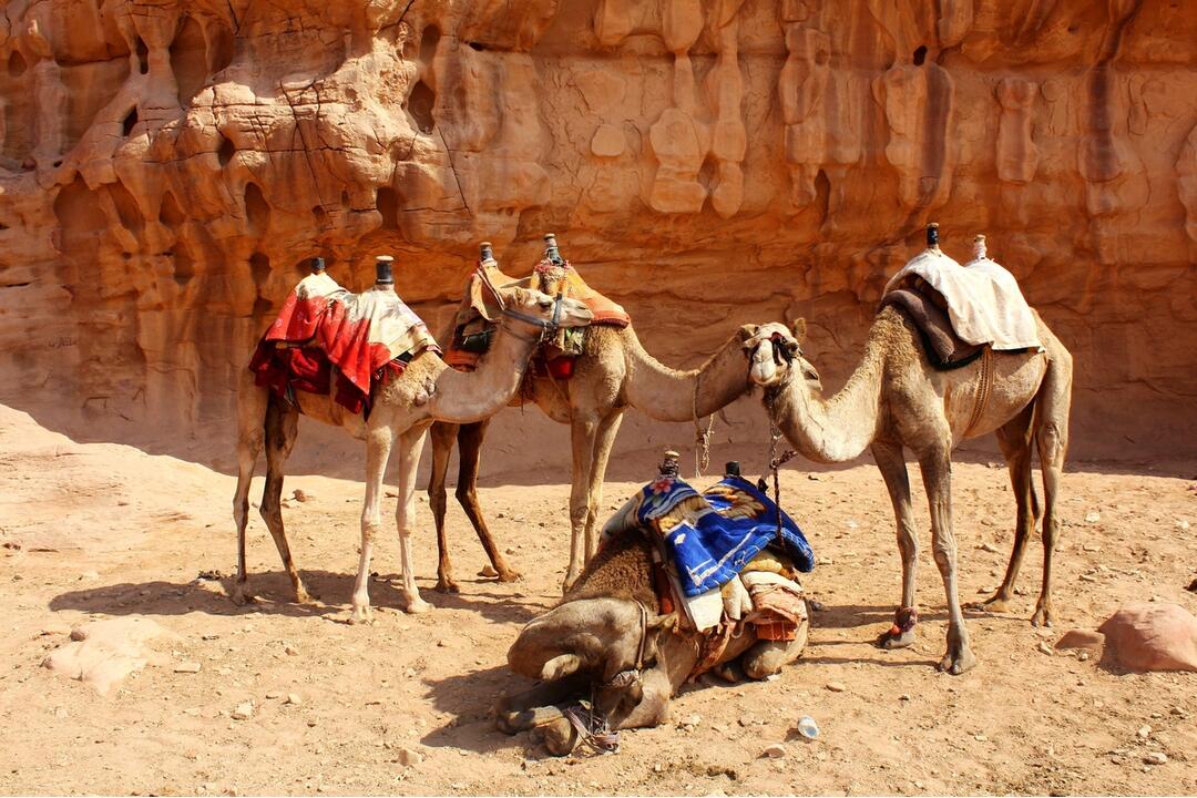 FOTO: Zomrel Pavel Fellner, otec šéfa cestovnej agentúry Ľuboša Fellnera, foto 3