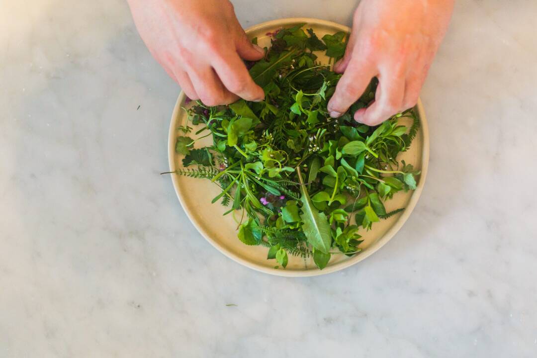 FOTO: Wild Kitchen v Modre varí iba z rýb a byliniek. Jej šéfkuchár Plašiak sa vrátil z USA, foto 7