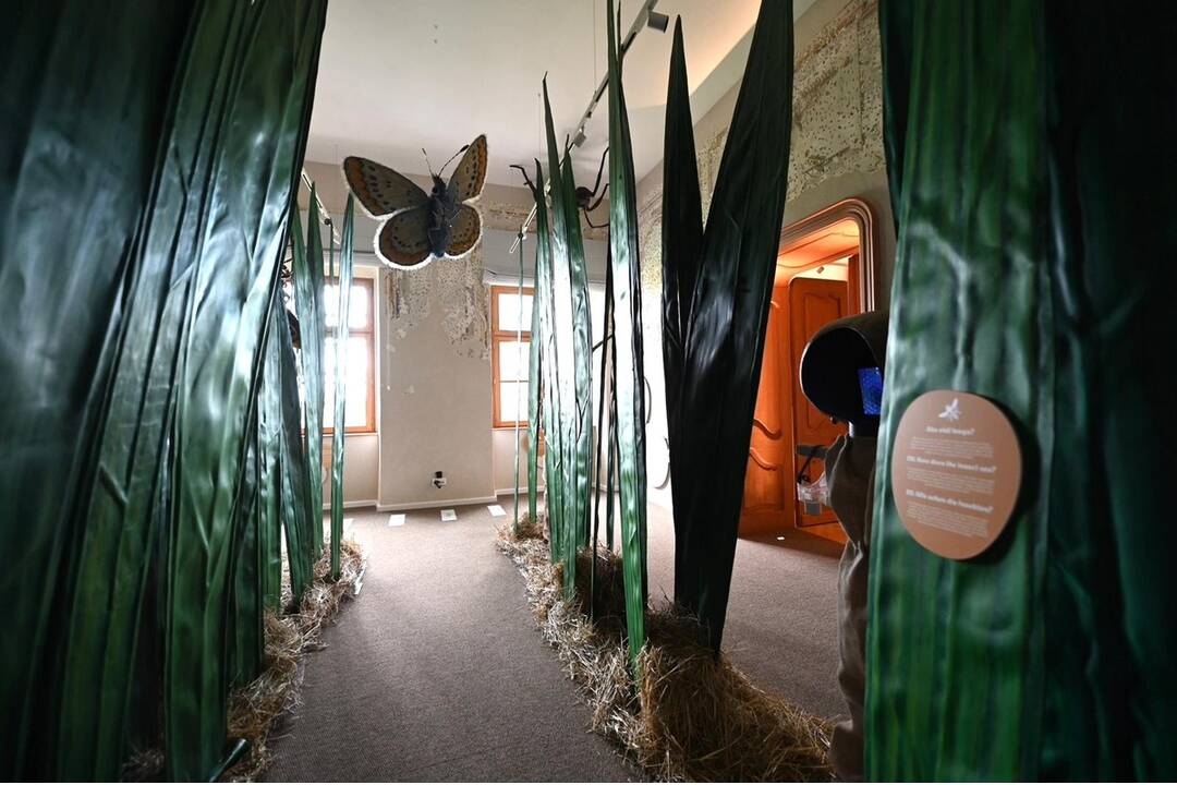 FOTO: Kaštiel v Čunove, foto 2