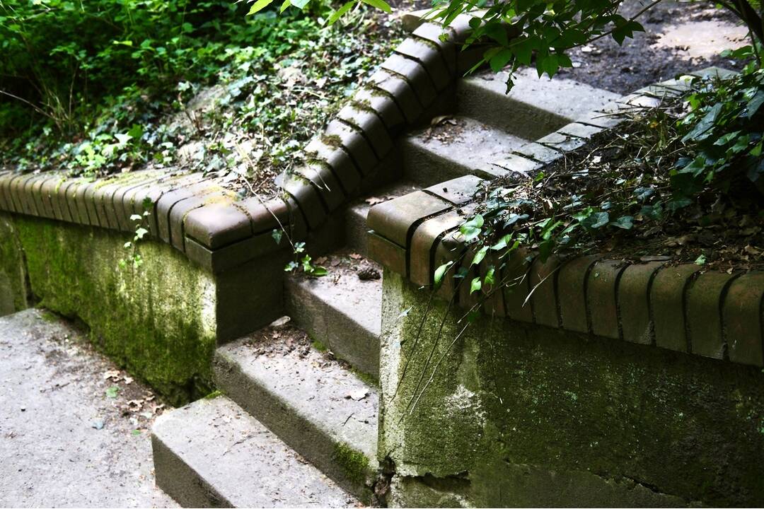 FOTO: Kochova záhrada v Bratislave, foto 4