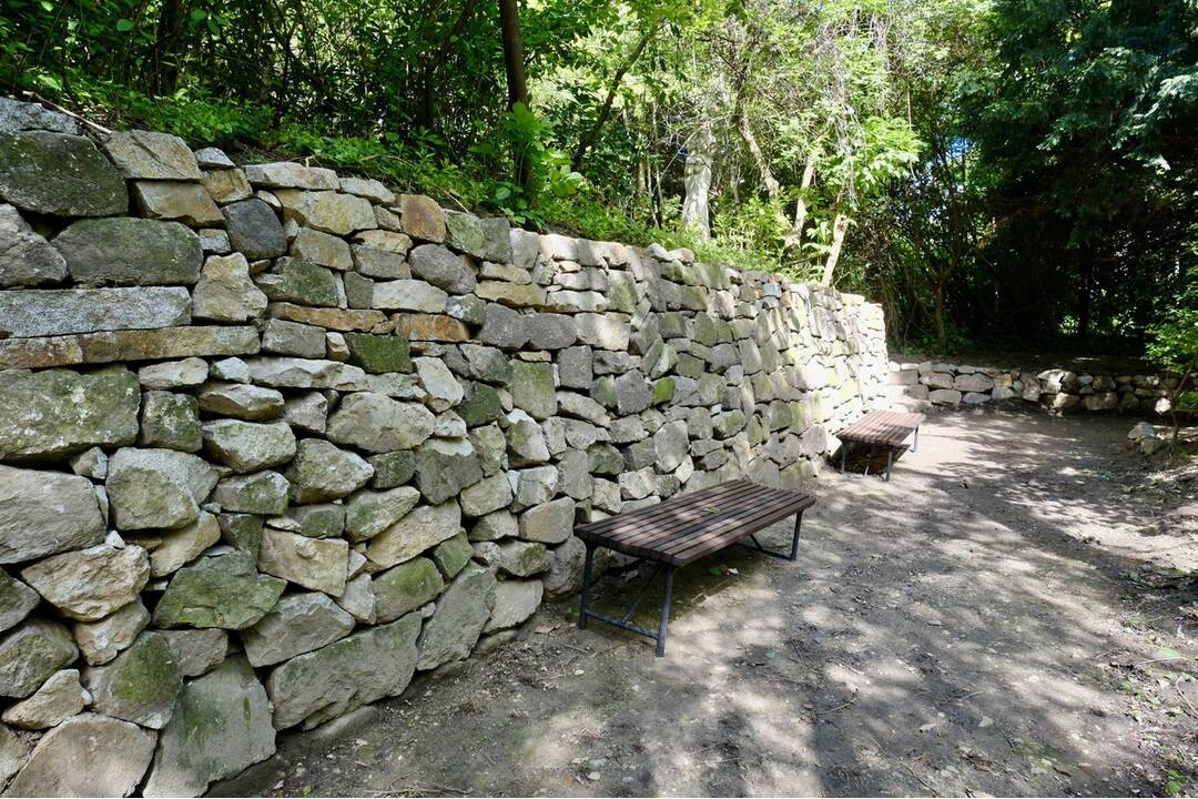 FOTO: Kochova záhrada v Bratislave, foto 5