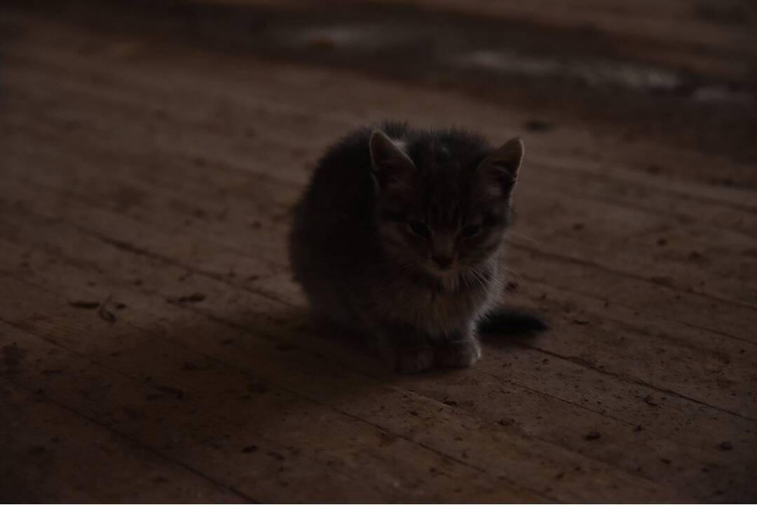 FOTO: Mestá duchov Černobyľ a Pripjať, foto 191