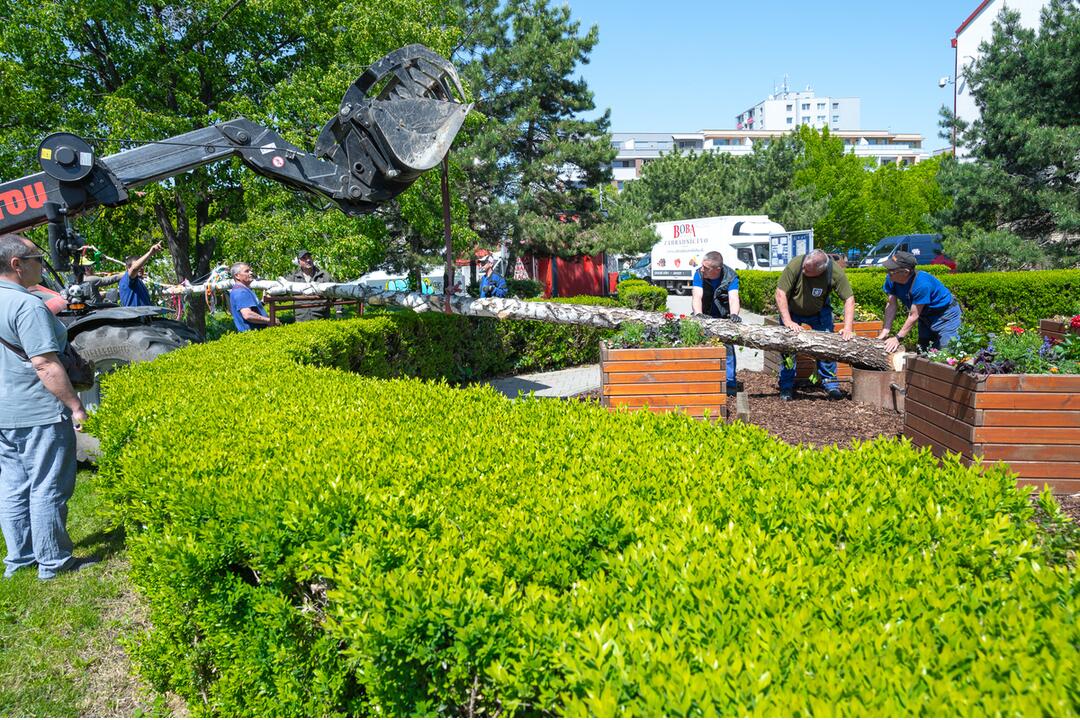 FOTO: Takto stavali máj v Senci. S veľa stužkami a úsmevom na tvári, foto 5