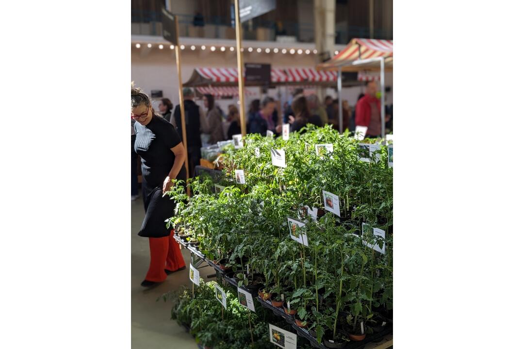 FOTO: Sobotný trh v Starej tržnici víta prvých návštevníkov, foto 1