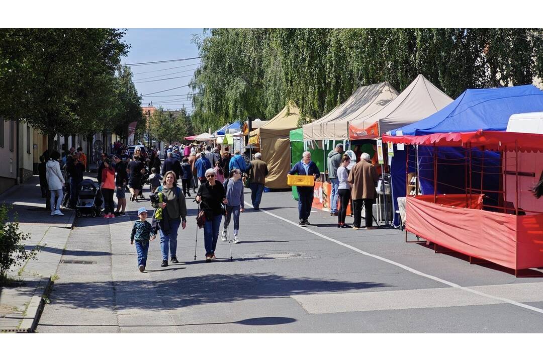 FOTO: Račianske hody 2024, foto 4