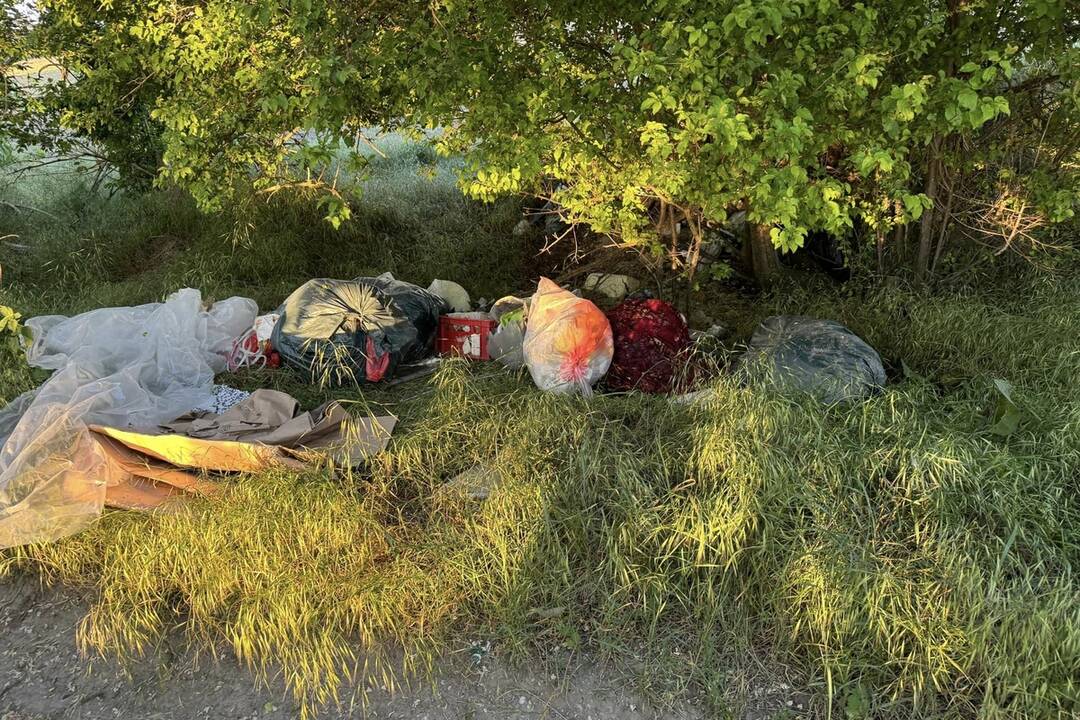 FOTO: Skládka za železničnou stanicou v Rovinke obyvateľov trápi už dva roky, foto 5