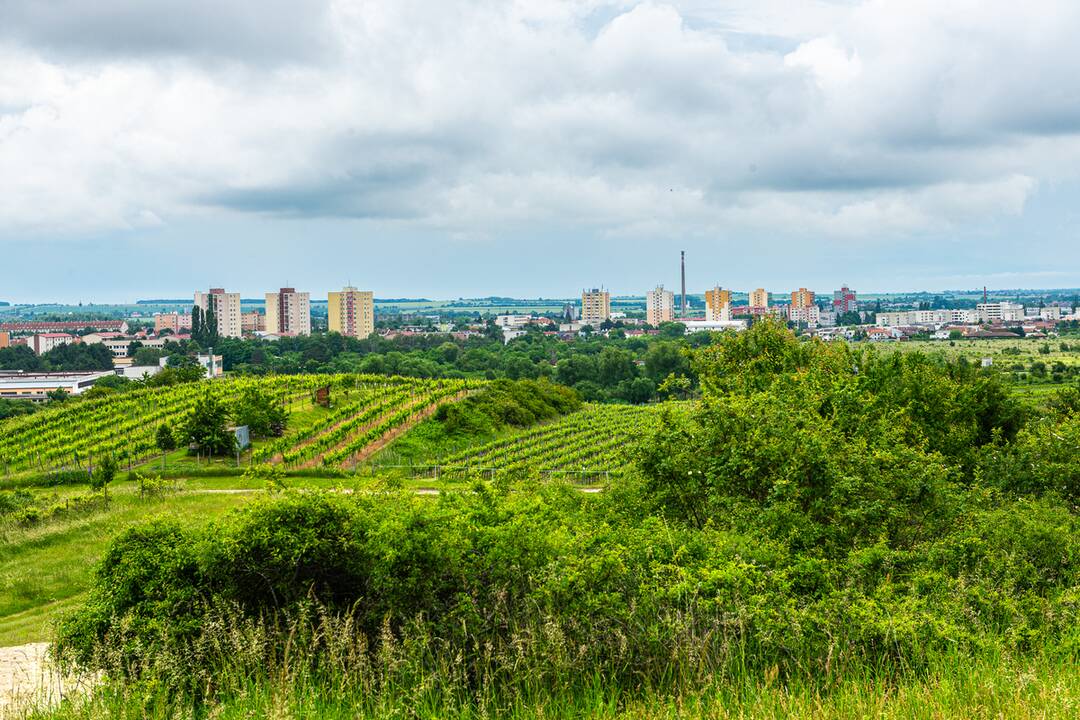 FOTO: Nová atrakcia Pezinka. Nad Mandľovým sadom postavili obrovskú lavičku, foto 5