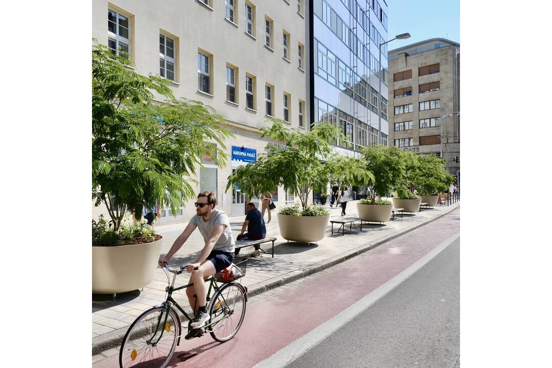 FOTO: Nová zeleň na Dunajskej, foto 3