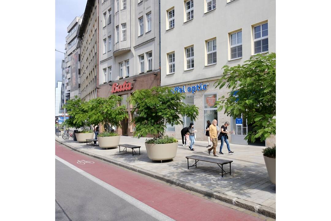 FOTO: Nová zeleň na Dunajskej, foto 4