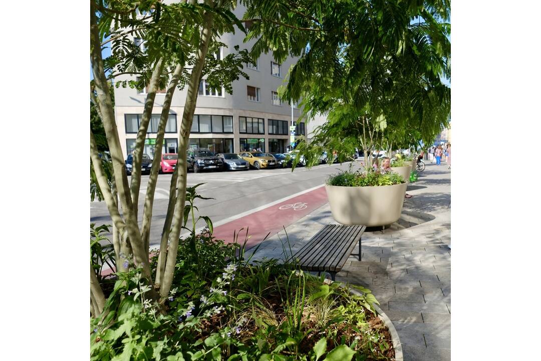 FOTO: Nová zeleň na Dunajskej, foto 5