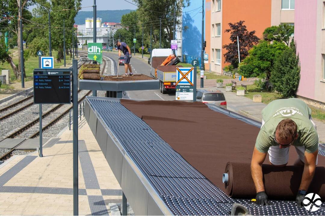 FOTO: Prvá zelená zastávka v Bratislave na Zlatých Pieskoch, foto 1