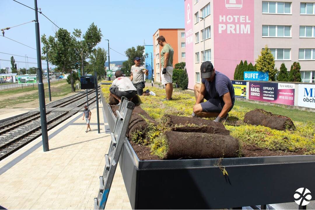 FOTO: Prvá zelená zastávka v Bratislave na Zlatých Pieskoch, foto 5
