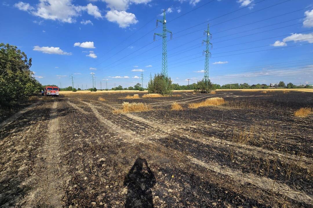 FOTO: V Podunajských Biskupiciach horelo pole, foto 1