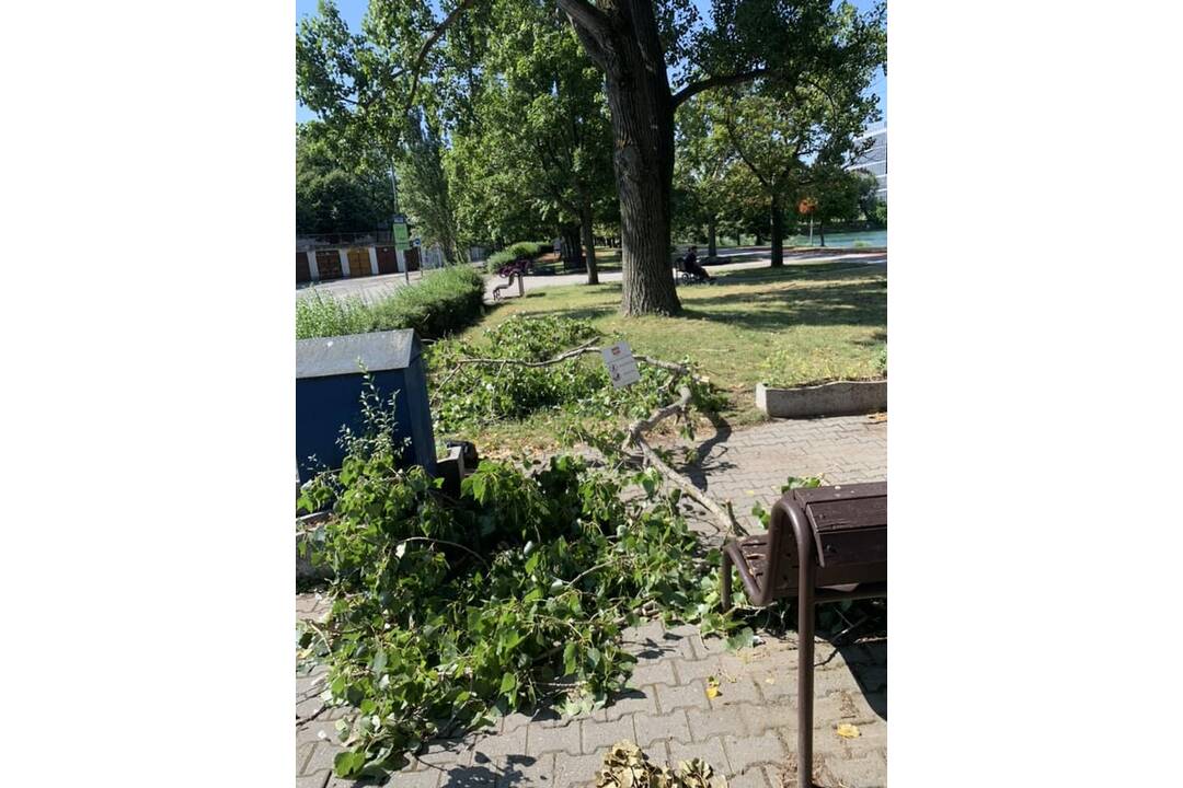 FOTO: V Ružinove úradovali búrky, odlomili množstvo konárov, foto 2