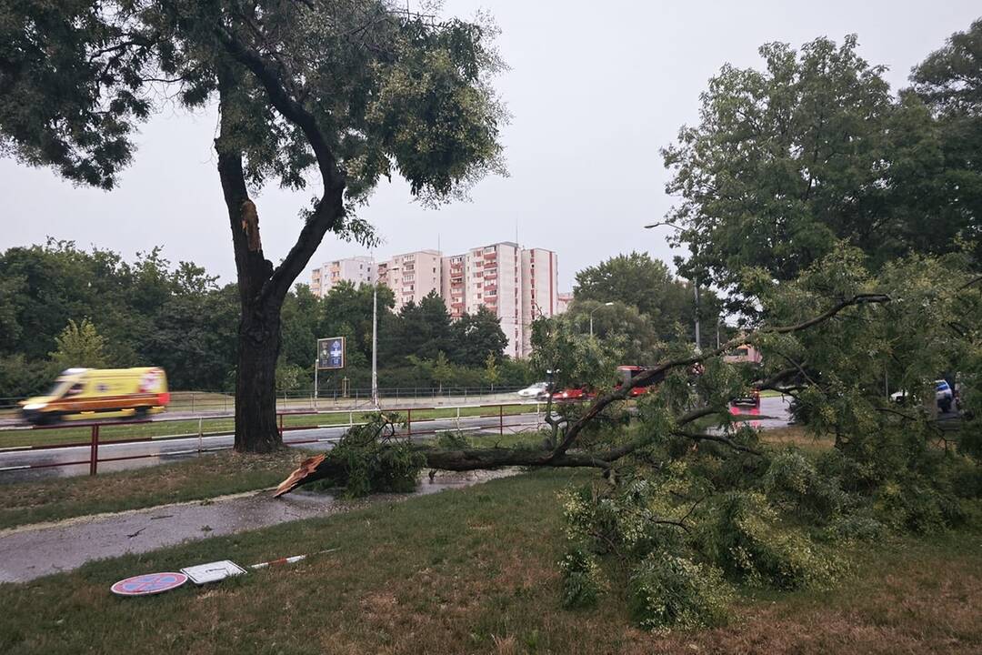 FOTO: V Ružinove úradovali búrky, odlomili množstvo konárov, foto 3
