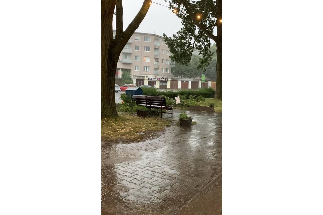 FOTO: V Ružinove úradovali búrky, odlomili množstvo konárov, foto 5