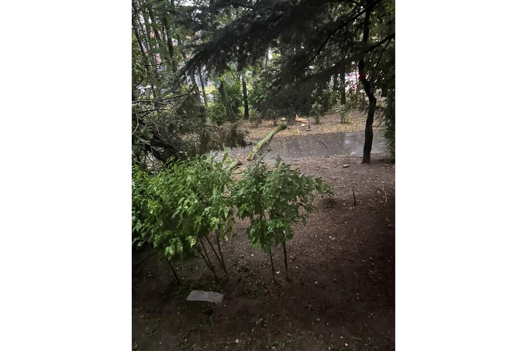 FOTO: V Ružinove úradovali búrky, odlomili množstvo konárov, foto 6