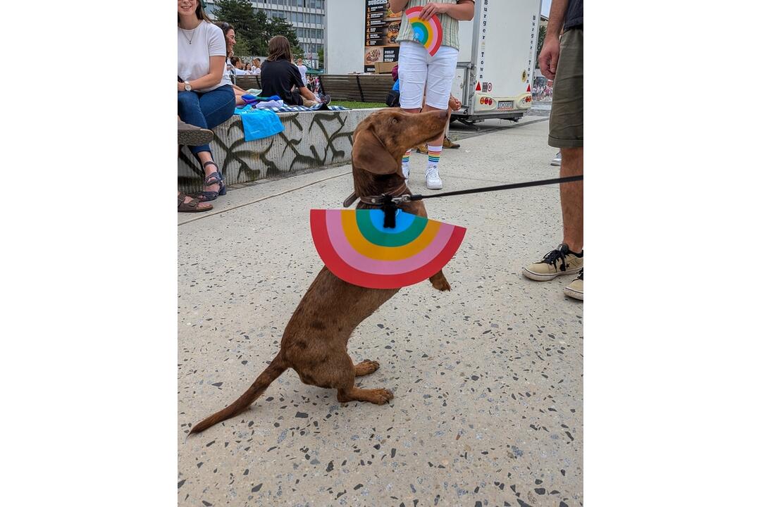FOTO: Dúhového Pridu sa v Bratislave zúčastnili aj domáci miláčikovia, foto 1