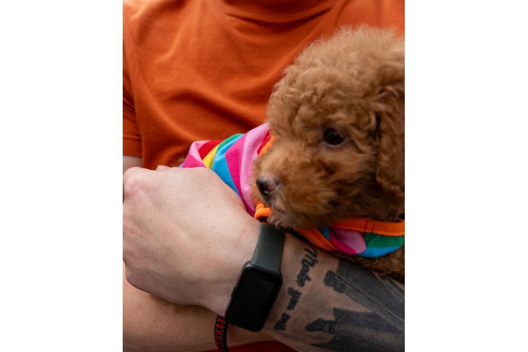 FOTO: Dúhového Pridu sa v Bratislave zúčastnili aj domáci miláčikovia, foto 6