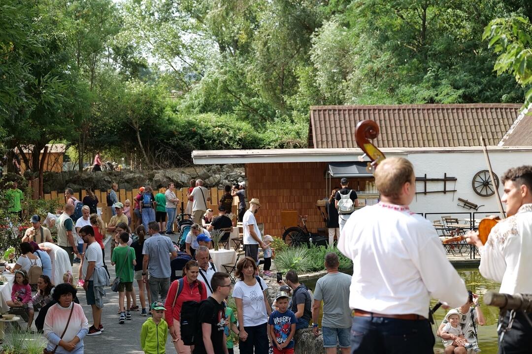 FOTO: V bratislavskej ZOO otvorili nový Gazdovský dvor. Deti si môžu prísť pohladkať kontaktné kozičky , foto 1