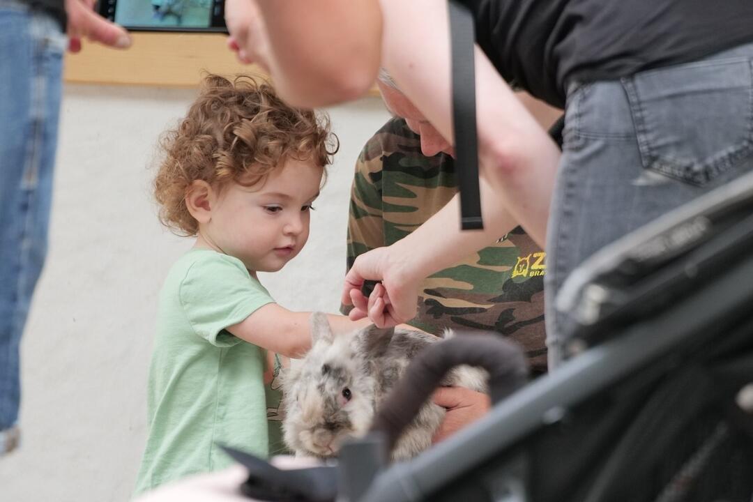 FOTO: V bratislavskej ZOO otvorili nový Gazdovský dvor. Deti si môžu prísť pohladkať kontaktné kozičky , foto 3
