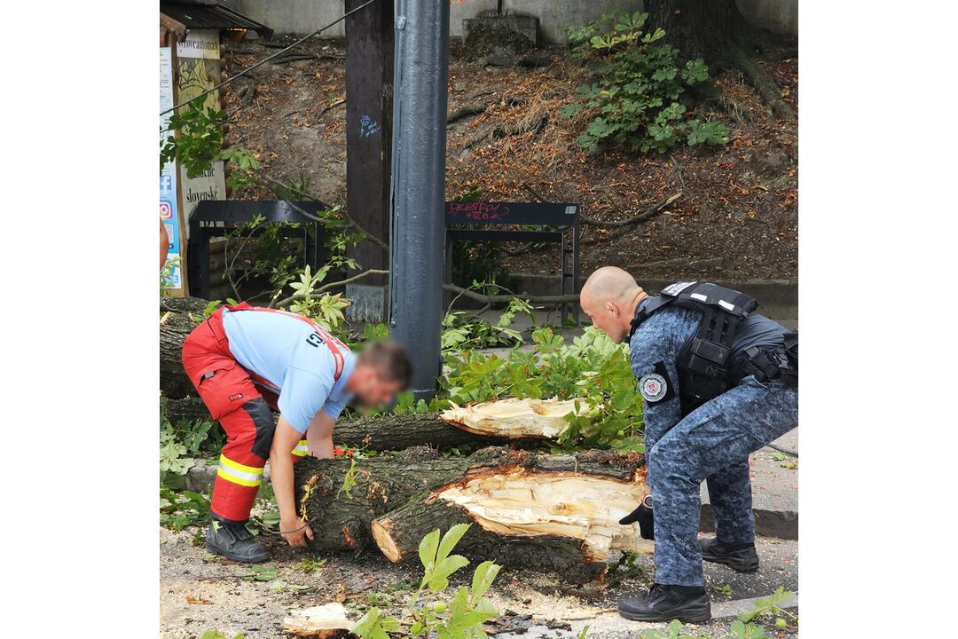 FOTO: Cez víkend budú Bratislavu bičovať búrky. Takto vyzerali zásahy hasičov a policajtov naposledy, foto 1
