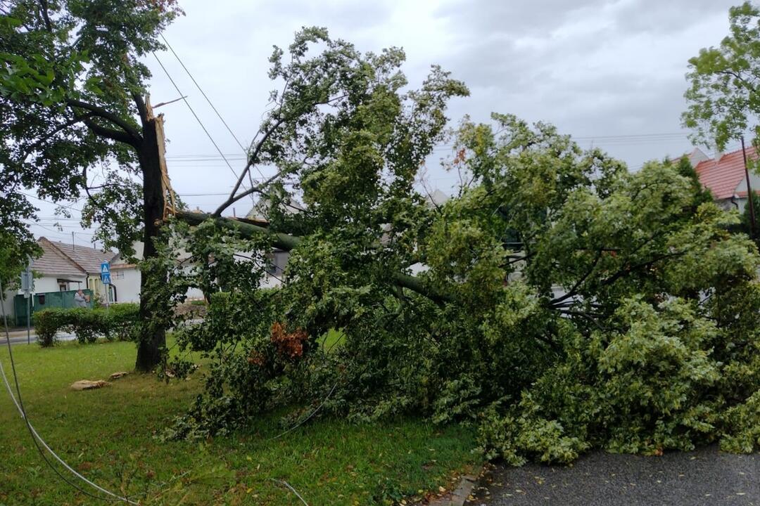 FOTO: Cez víkend budú Bratislavu bičovať búrky. Takto vyzerali zásahy hasičov a policajtov naposledy, foto 2