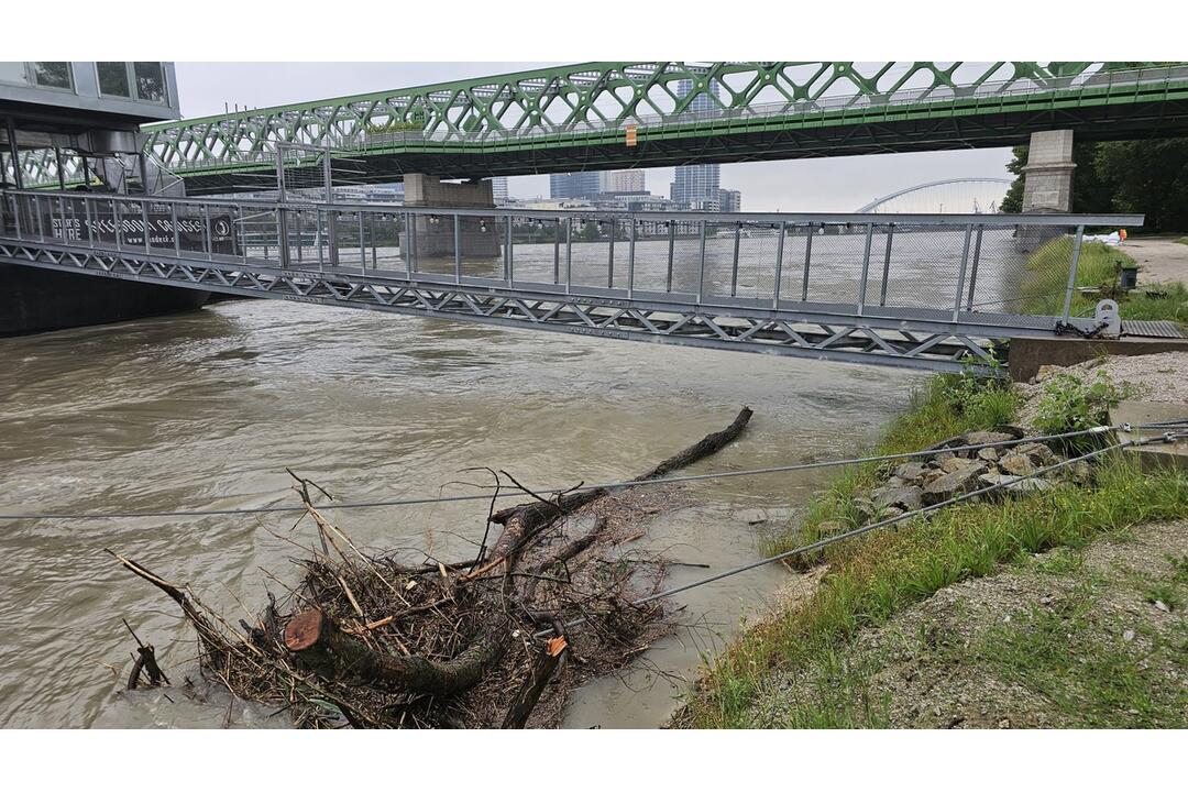 FOTO: Cez víkend budú Bratislavu bičovať búrky. Takto vyzerali zásahy hasičov a policajtov naposledy, foto 7