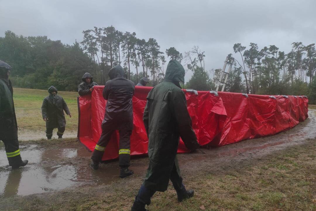 FOTO: V Bratislave v piatok vyčíňal silný vietor, foto 1