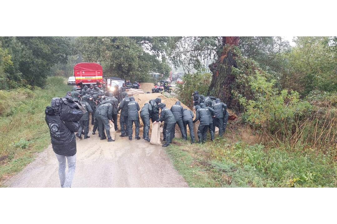 FOTO: V Bratislave v piatok vyčíňal silný vietor, foto 3