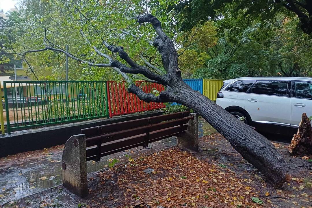 FOTO: V Bratislave v piatok vyčíňal silný vietor, foto 6