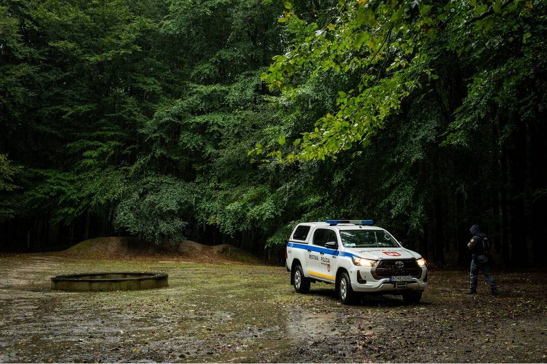 FOTO: V Bratislave v piatok vyčíňal silný vietor, foto 11