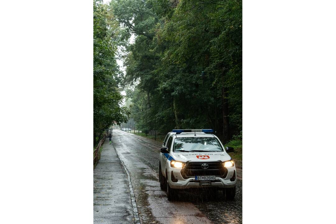 FOTO: V Bratislave v piatok vyčíňal silný vietor, foto 12