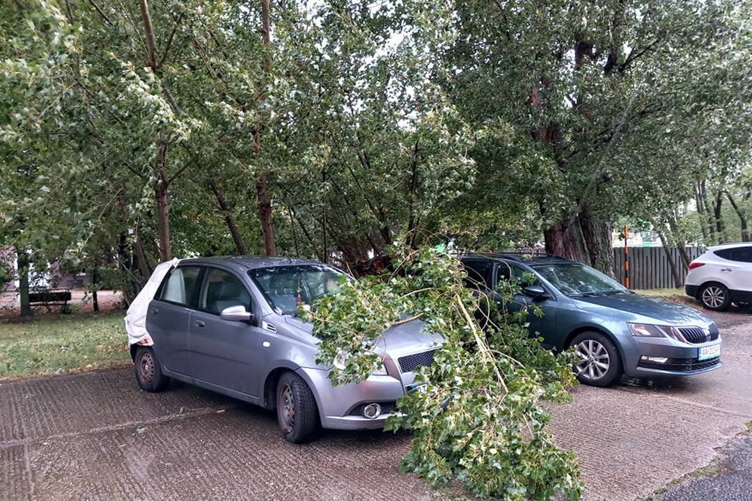 FOTO: V Bratislave v piatok vyčíňal silný vietor, foto 21