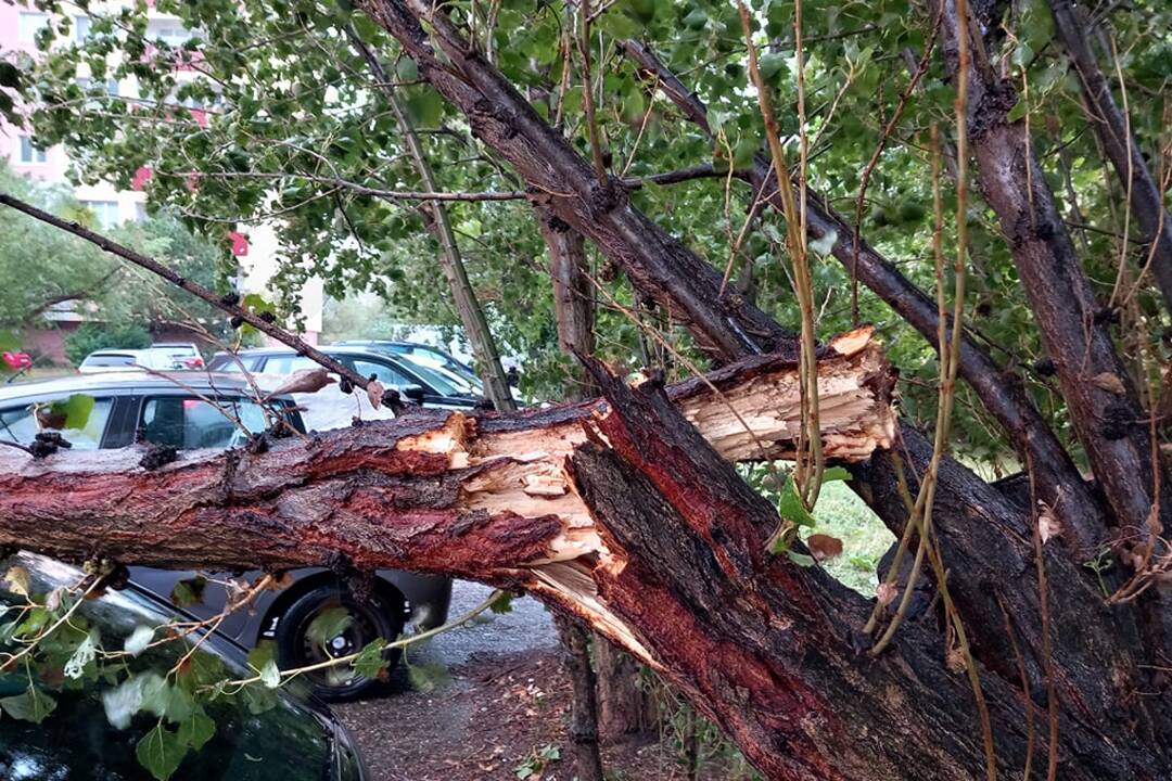 FOTO: V Bratislave v piatok vyčíňal silný vietor, foto 22