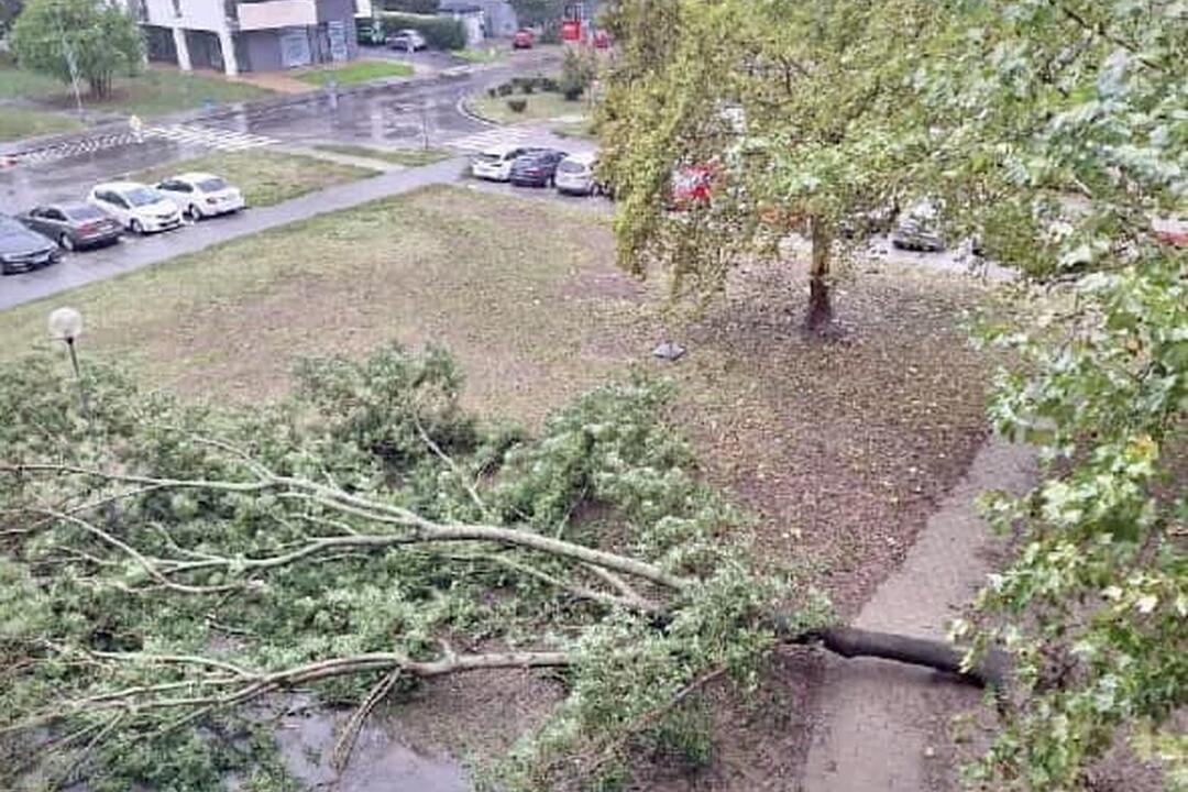 FOTO: Silný vietor v Ružinove vyvracal stromy. Mestská časť vyzerá ako z postapokalyptického filmu, foto 4