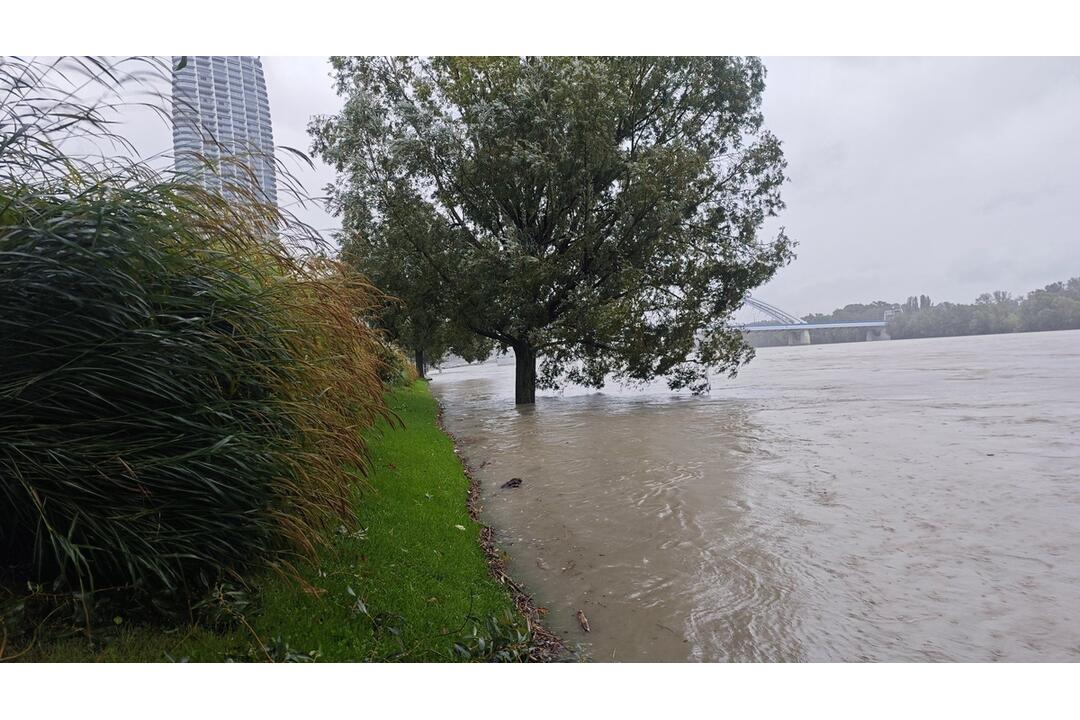 FOTO: Hladina Dunaja nebezpečne stúpa, v jeho okolí sú už zábrany, foto 4