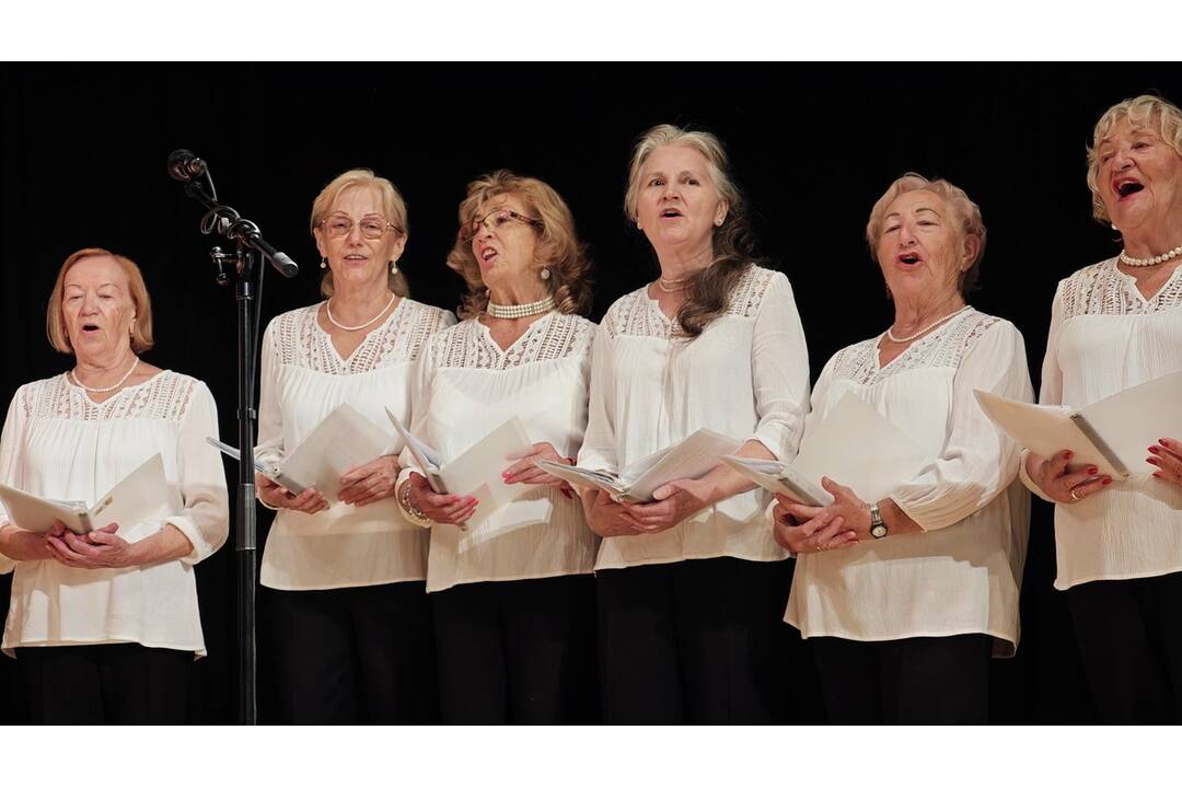 FOTO: Račianske vinobranie 2024, foto 16