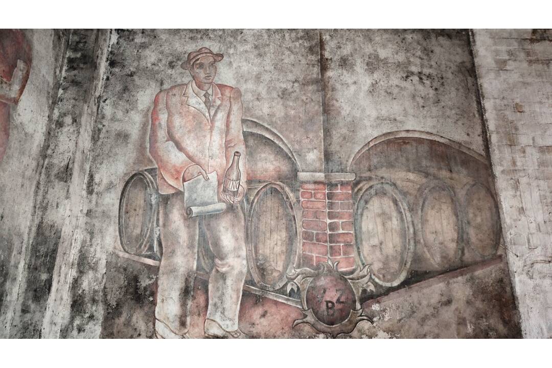 FOTO: Račianske vinobranie 2024, foto 17