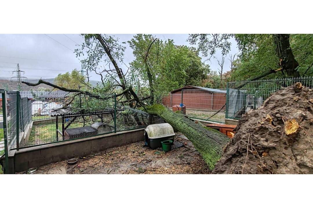 FOTO: Slobodu zvierat zaplavila voda, na výbehy spadol strom, foto 2
