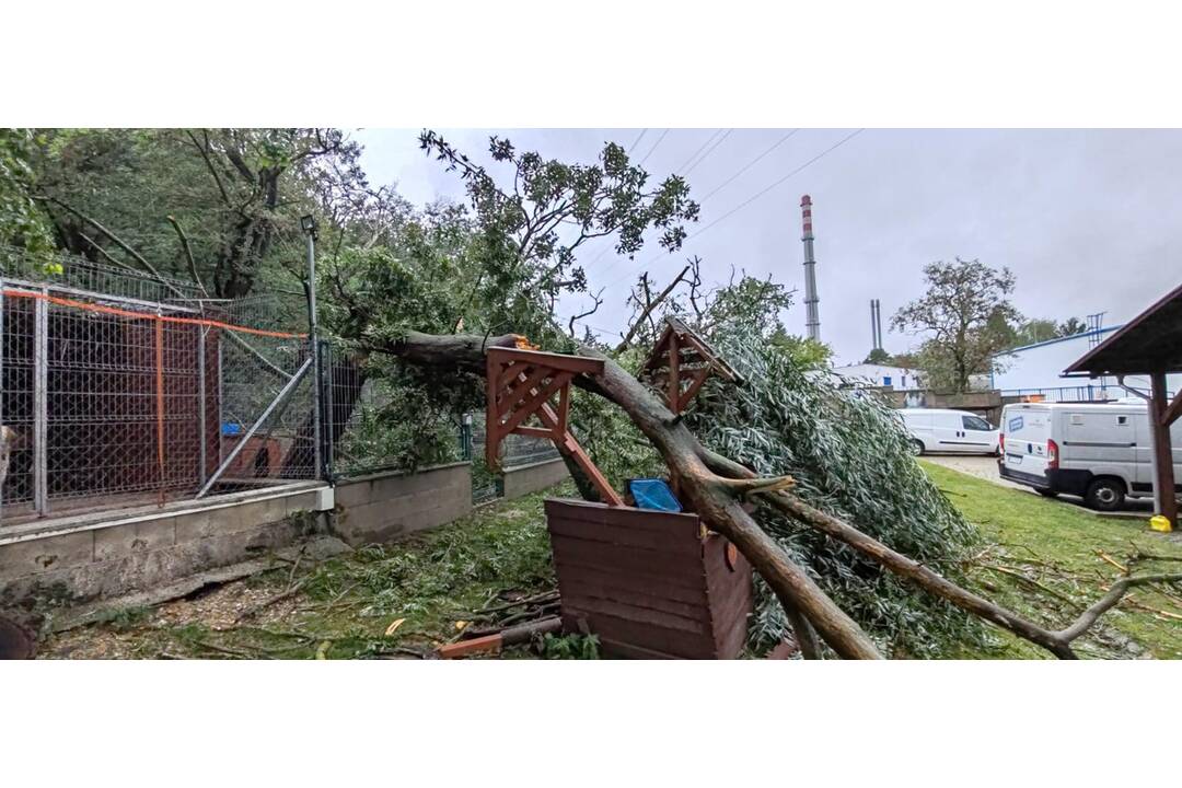 FOTO: Slobodu zvierat zaplavila voda, na výbehy spadol strom, foto 5