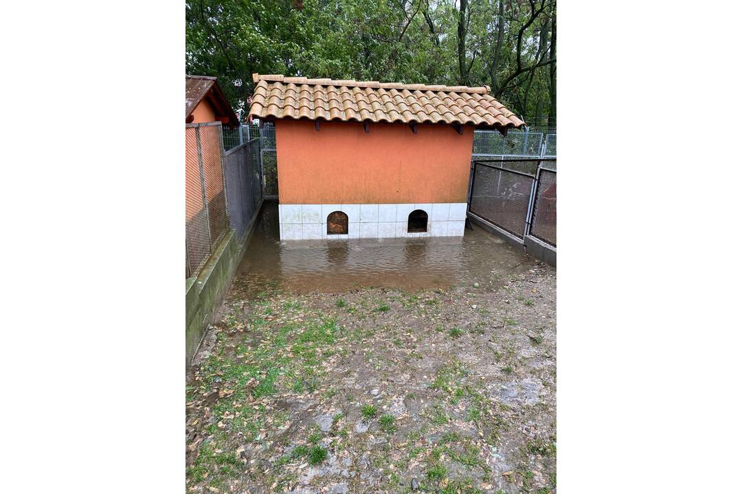 FOTO: Slobodu zvierat zaplavila voda, na výbehy spadol strom, foto 6