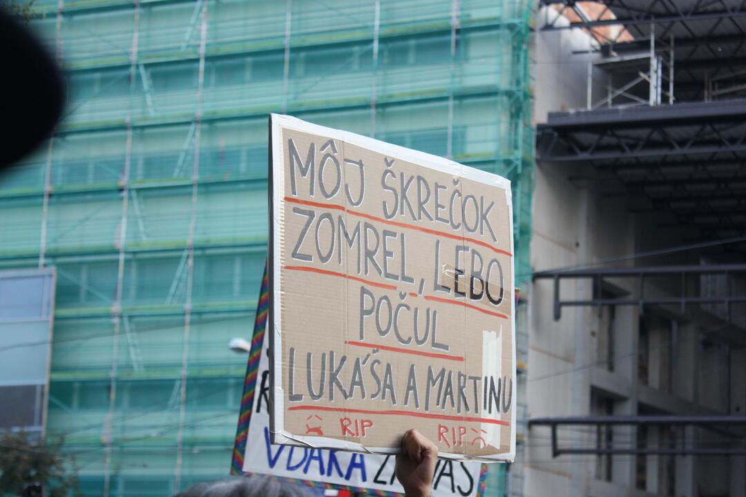 FOTO: Kultúrny štrajk v Bratislave. Na pódiu vystúpil aj Tomáš Maštalír, foto 34