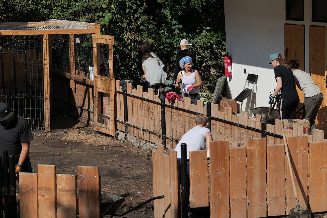 FOTO: Brigádnici upratovali bratislavskú ZOO po povodni, foto 9
