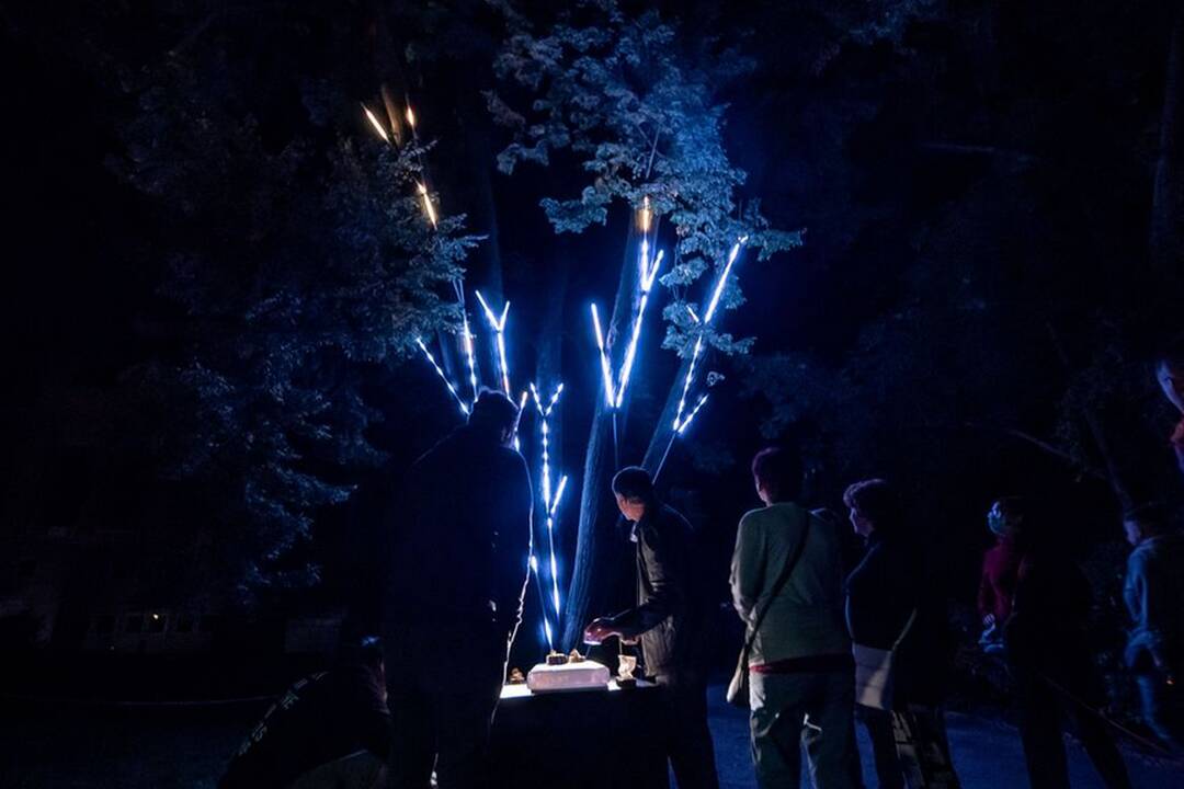 FOTO: Biela noc 2024, foto 5